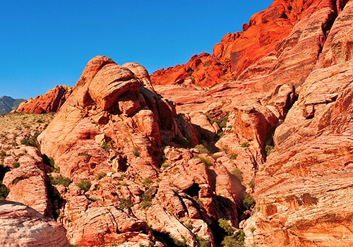 Red Rock Discovery Tours - Red Rock Canyon